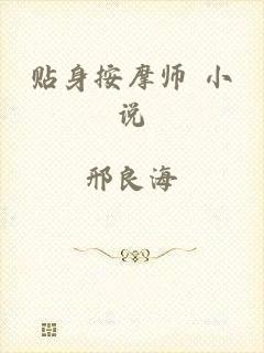 贴身按摩师 小说
